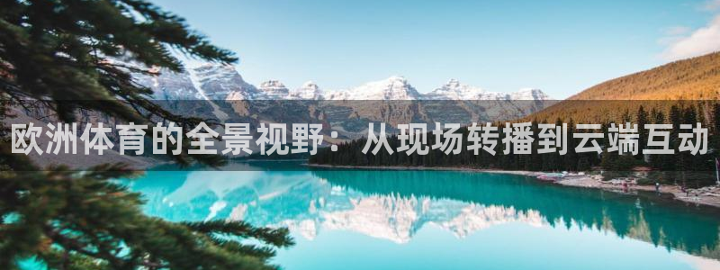 说球帝：欧洲体育的全景视野：从现场转播到云端互动