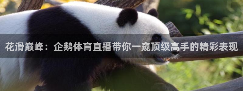 说球帝足球直播在线观看免费：花滑巅峰：企鹅体育直播带你一窥顶级高手的精彩表现
