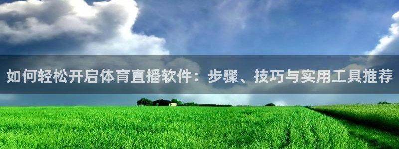 说球帝app官网：如何轻松开启体育直播软件：步骤、技巧与实用工具推荐