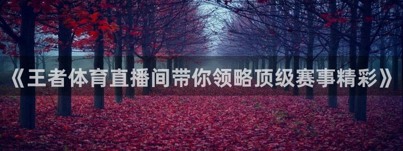 说球帝nba直播吧：《王者体育直播间带你领略顶级赛事精彩》