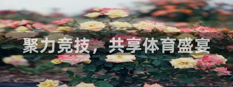说球帝nba直播在线篮球：聚力竞技，共享体育盛宴