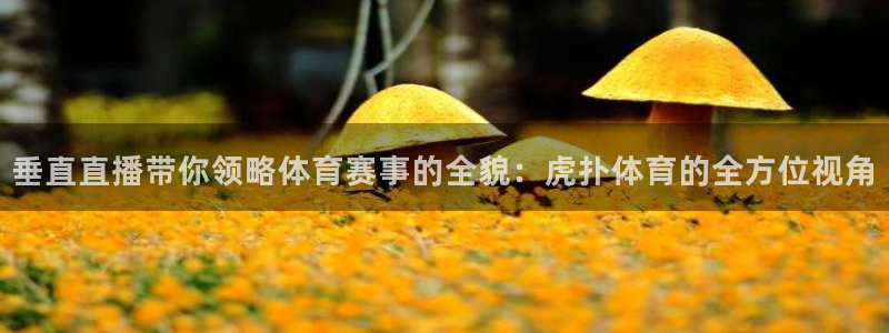 说球帝24小时直播在线观看：垂直直播带你领略体育赛事的全貌：虎扑体育的全方位视角