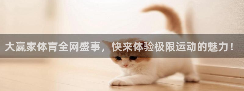 nba说球帝直播在线观看免费：大赢家体育全网盛事，快来体验极限运动的魅力！