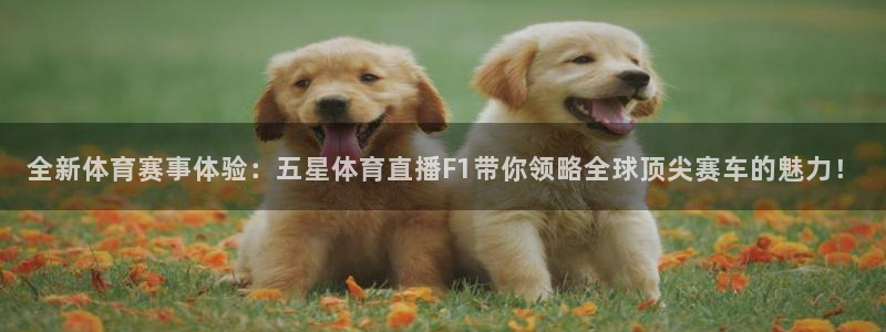 说球帝足球直播在线观看免费：全新体育赛事体验：五星体育直播F1带你领略全球顶尖赛车的魅力！